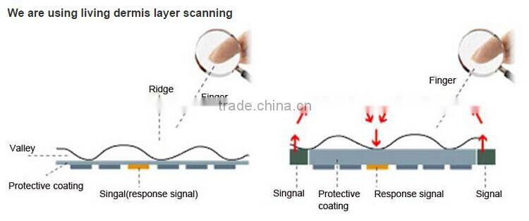 LSD8018 high quality fingerprint card key lock