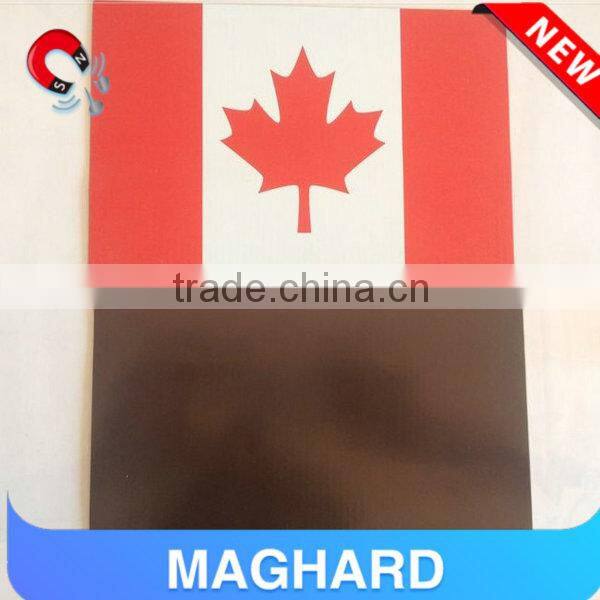 flexible novelty car door magnet