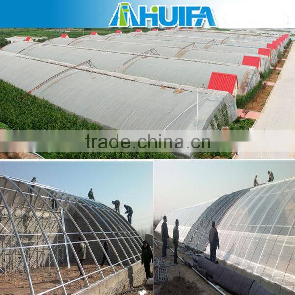 Economical Solar AgriculturalGreenhouse For Vegetables