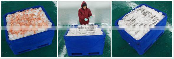 1000L Thermo Plastic Cooler Box, cooler box with PU insulated, fish cooler bins