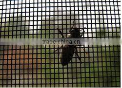 Hebei factoryprice high quality window insect screen