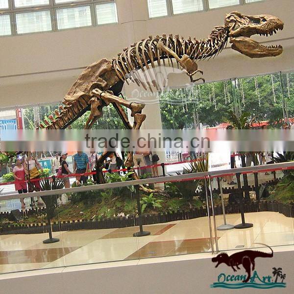 OA6146 Museum Use Exhibition Dinosaur Skeleton Fossil