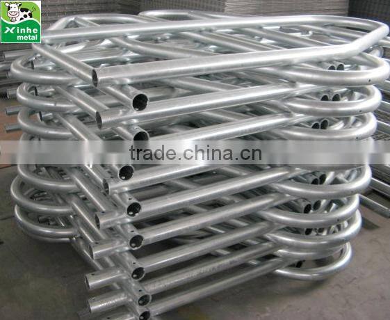 Hot dip galvanised Single Type Free Stall Cow