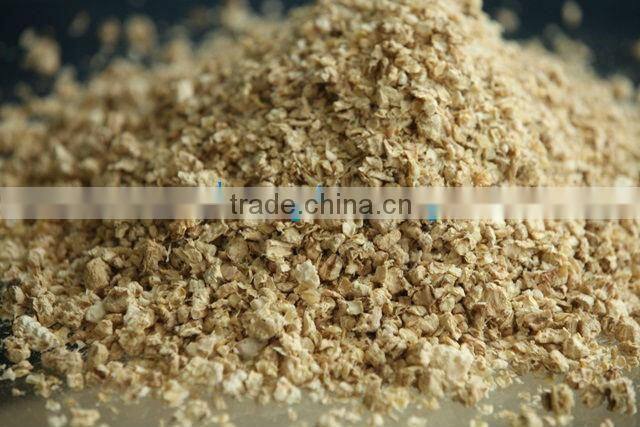 BEST PRICE CORN COB FOR SALE FROM VIETNAM