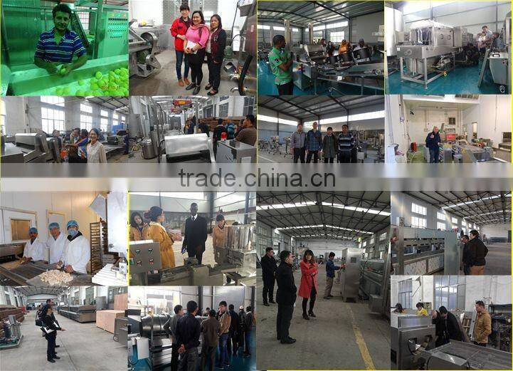 XDL-8500 industrial automatic continuous fryer/frying machine with CE certifcate