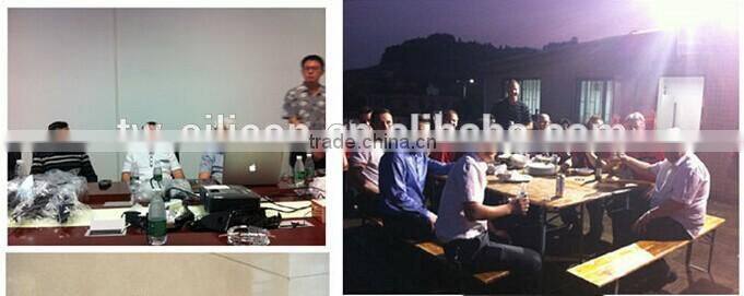 Big cake mold for home usage with sunflower new design