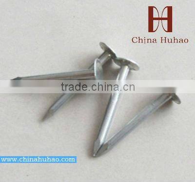 zinc plated cupper nail