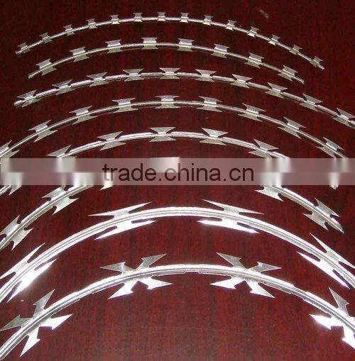 Razor Wire mesh (Factory)