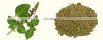 STAVIA POWDER INDIAN TULSI POWDER