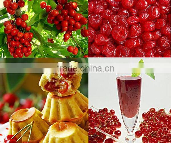 New Crop dried cherry for hot sale/red cherry lashes