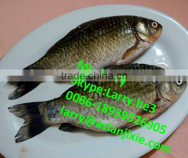 automatic fish scaling machine/fish viscera cleaning machine/fish scaling machine