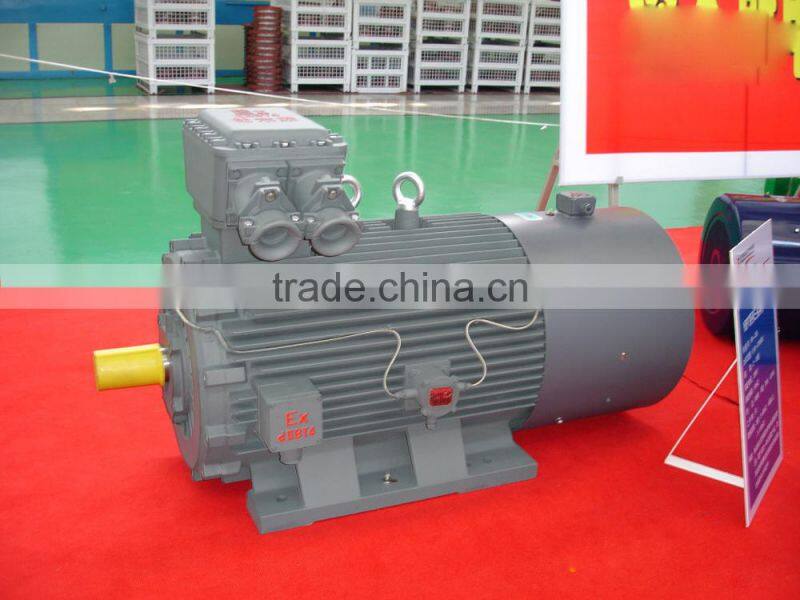 Y-H High Slipping marine electric motor
