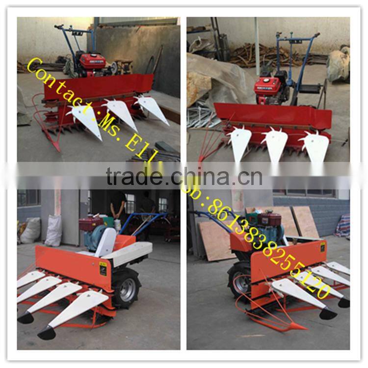 Farm using mini wheat crop cutting machine in Veitnam