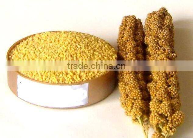 Best quality clean millet thresher