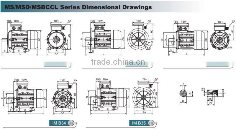 IE1 Standard Three Phase Asynchronius Motors Aluminum Housing MS561 2