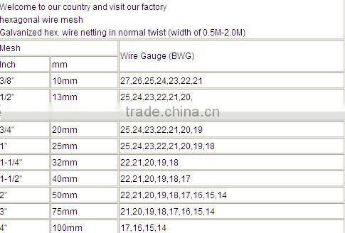 High Quality Hexagonal wire netting(15 years factory)