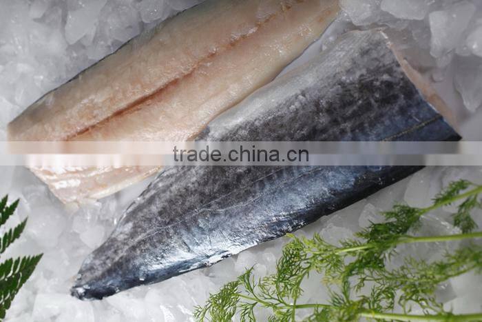 A grade quality frozen spanish mackerel fillets
