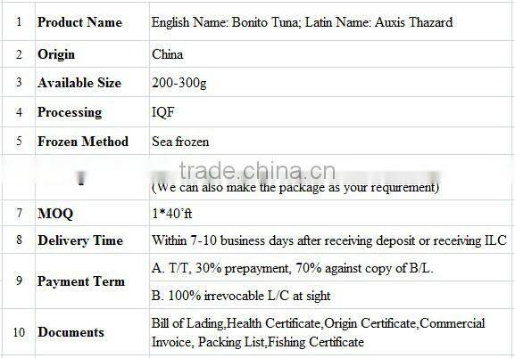 Whole Frozen Bonito Tuna Fish