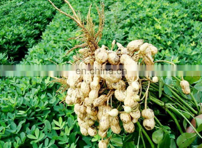 Peanut Reaper Harvesting Single-Row Potato Harvester Machine For Sale