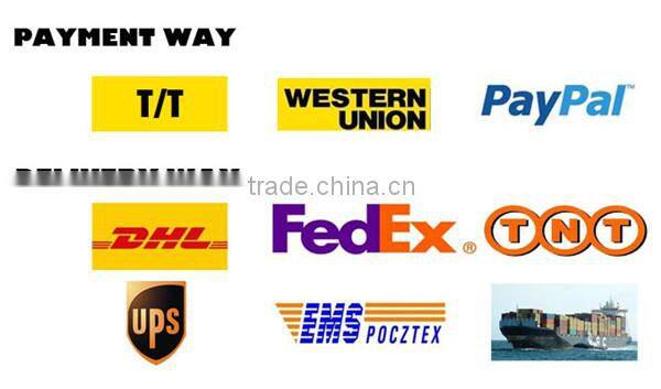 Wheel Loader Spare Parts Steering Gear Steering Pump TLF1-E1000 For XCMG LW500 Wheel Loader