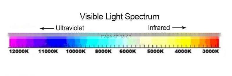 offer H3 12V 55W Car Fog Light Bulb with competitive price