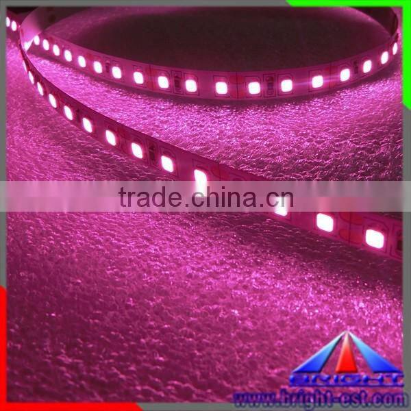 SMD2835 LED Pink Color Strip Light,Flexible LED Strip Pink