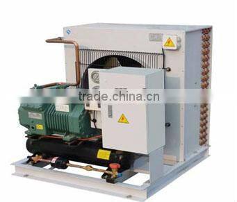 Bizter Compressor Low noise Air Cooled Condensing Unit for Cold room
