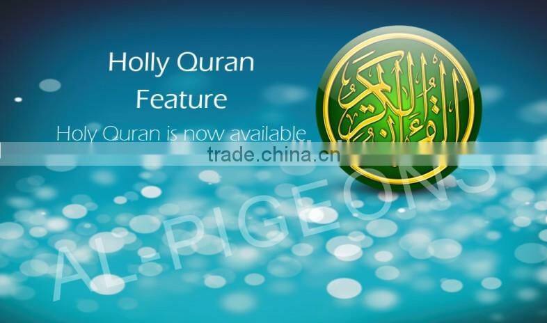 0.5 inch azan clock with red wood frame