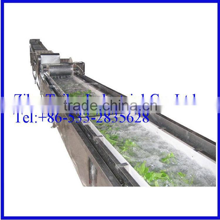 Factory Price: Professional industrial air bubble apple washing equippment