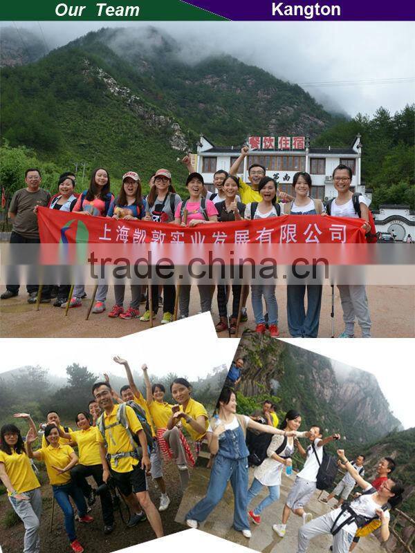 Commercial buildings exterior security steel door