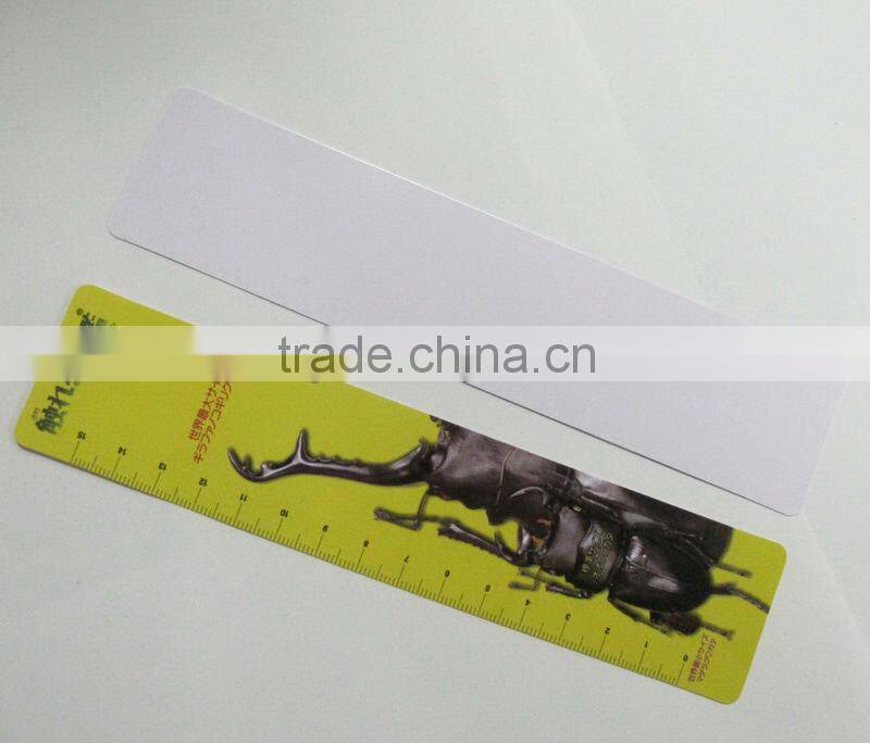 Promotional plastic pvc ruler, printing logo 30cm plastic ruler