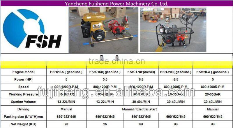 robin engine sprayer/honda engine sprayer/agriculture sprayer