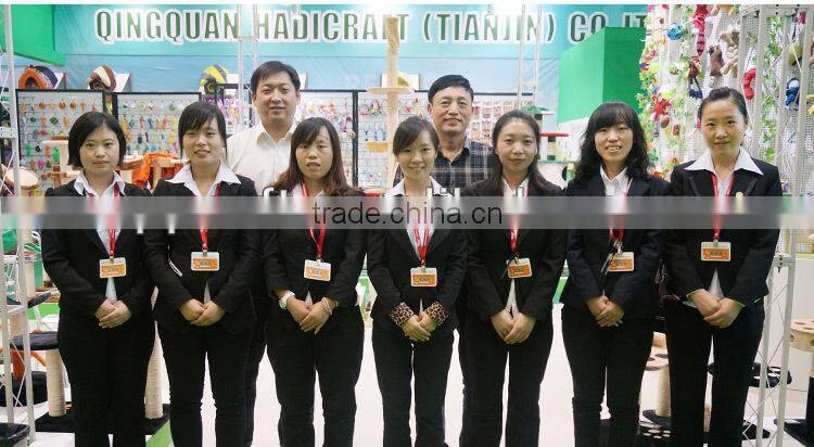 SGS & ISO QQ factory wholesale pet accessories luxury sofa dog bed