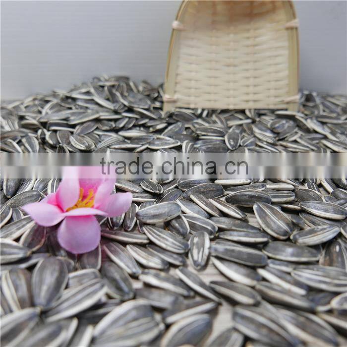 Hulled hybrid of Sunflower Seeds China Origin 5009 New corp
