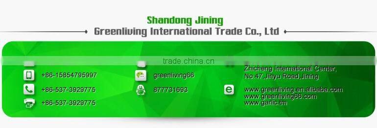 Popular Equipment Fresh Big Onion