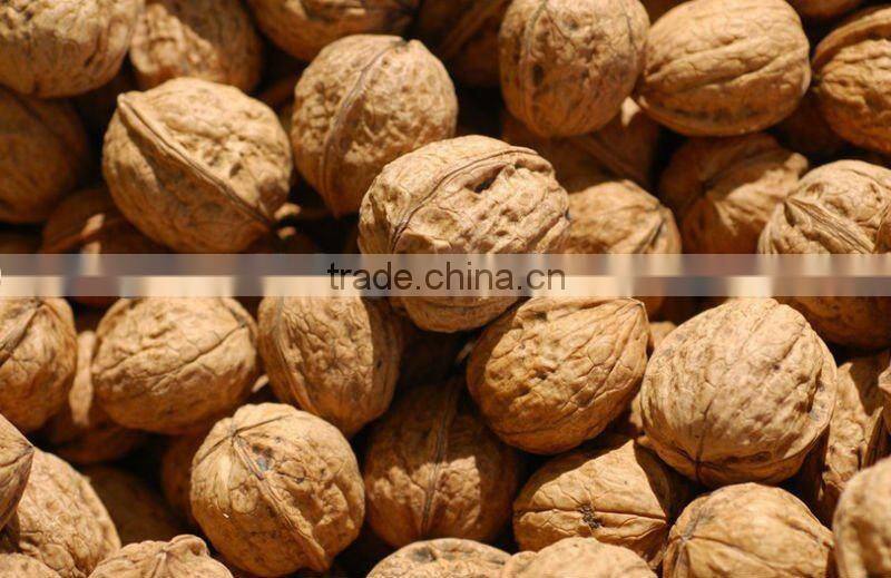 Walnut In Shell 2011,Bulk walnuts in shell
