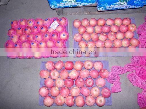 Red Color Fuji apple Fresh Style fruits fresh fuji apple fruit for sale Fuji apple exporter in China