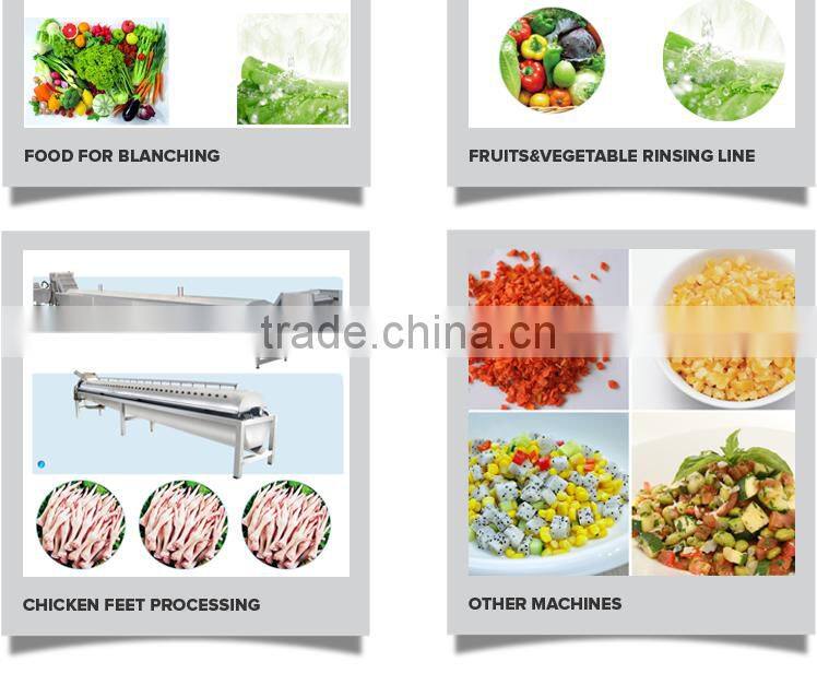 2016 High Quality New Design Best Price for Industrial Fruit Chopper