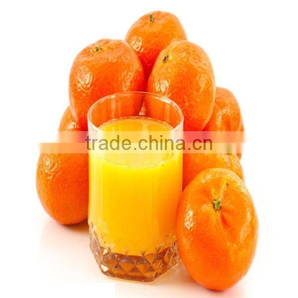 easy-using and best quality commercial apple juicer