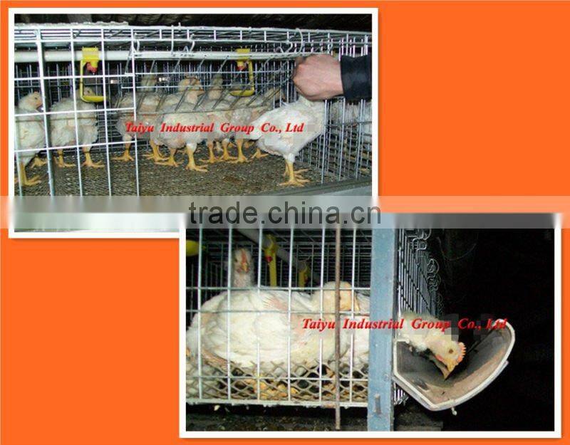 semi-automatic poultry cage system (egg laying birds,broilers,breeding chicken, day old chicken)