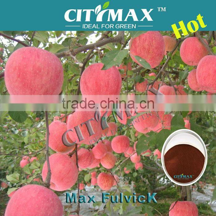 Organic Fertilizer 60%FA 15%NPK