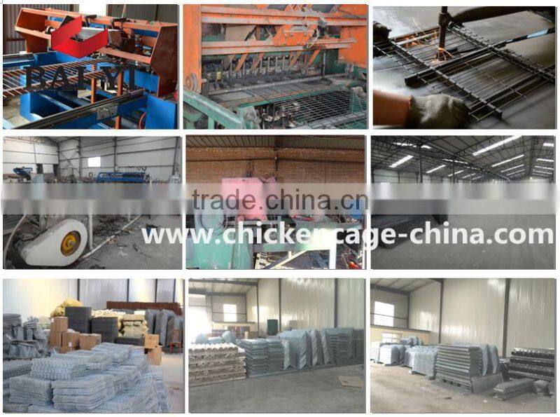 Good Quality Quail Egg Laying Cage In Abuja