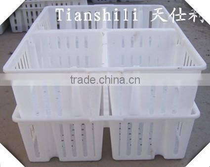 Colorful plastic egg tray for egg storage