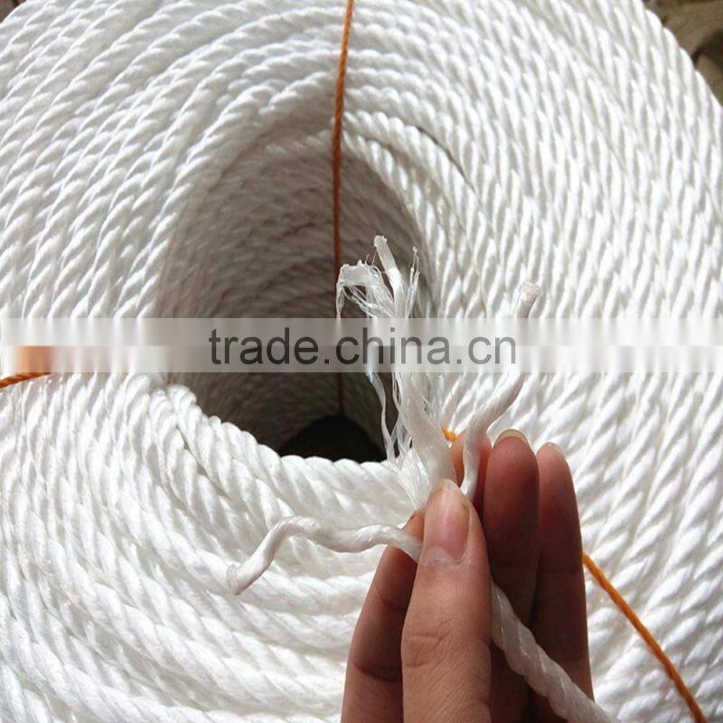 plastic pp split film rope for fishing free sample
