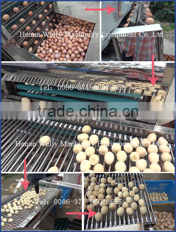 Factory price good performance hen egg peeling equipment