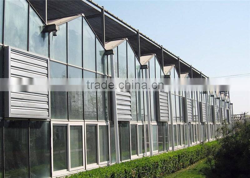 Multi span glass greenhouse for agriculture planting