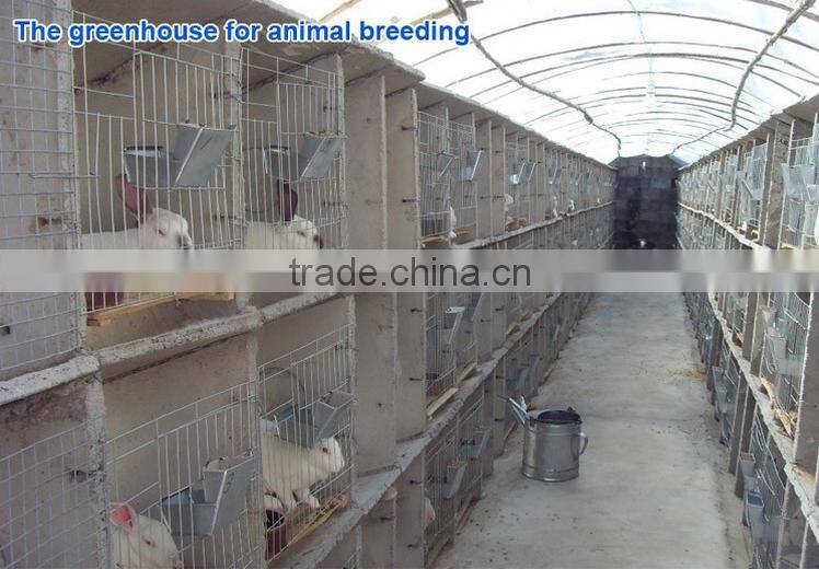 Fiberglass sheet for greenhouse