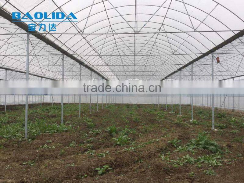 Professional Plastic Film Greenhouse Project Commercial Hydroponic Systems
