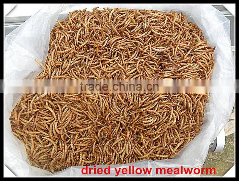 Dried Mealworms For Insect protein Material