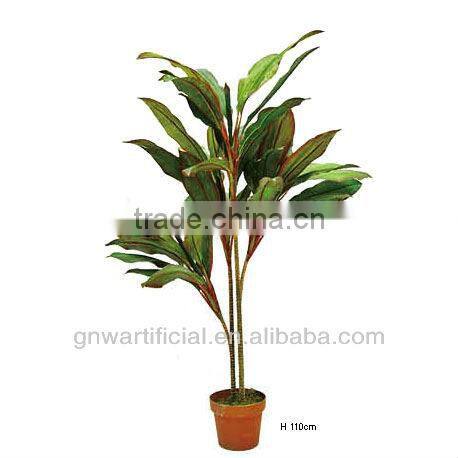 plant and tree nursery green mini plants indoor office GNW G120